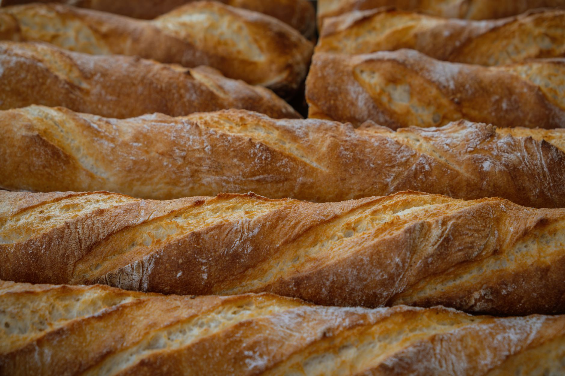 Secrets de pâte à pain pour une baguette maison à la croûte qui craque — baguette maison fraîche croûte