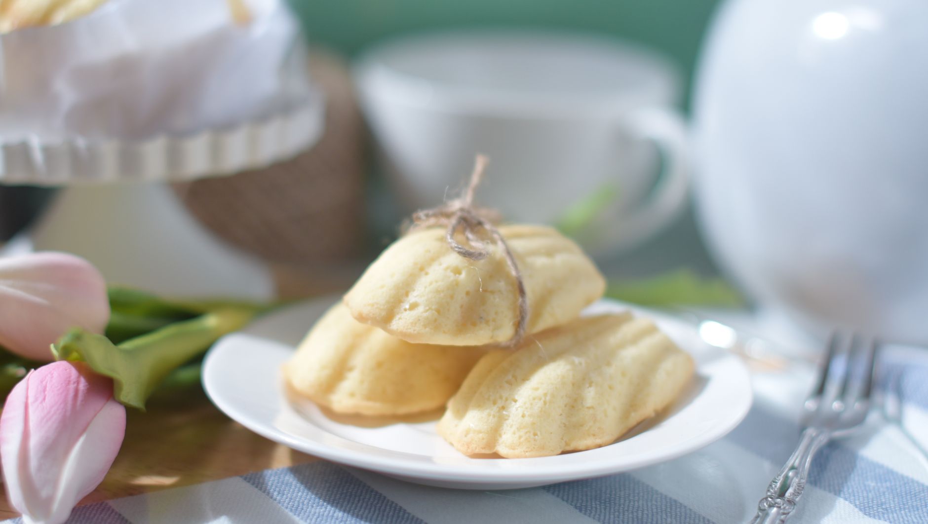 Madeleines à l’ancienne pur beurre : comprendre la bosse et le moelleux — madeleines traditionnelles sur assiette