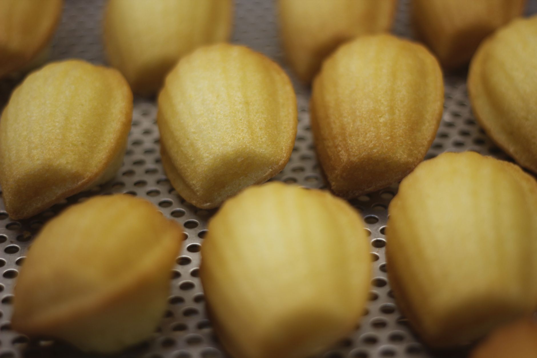 Madeleines à l'ancienne pur beurre — madeleines traditionnelles sur assiette